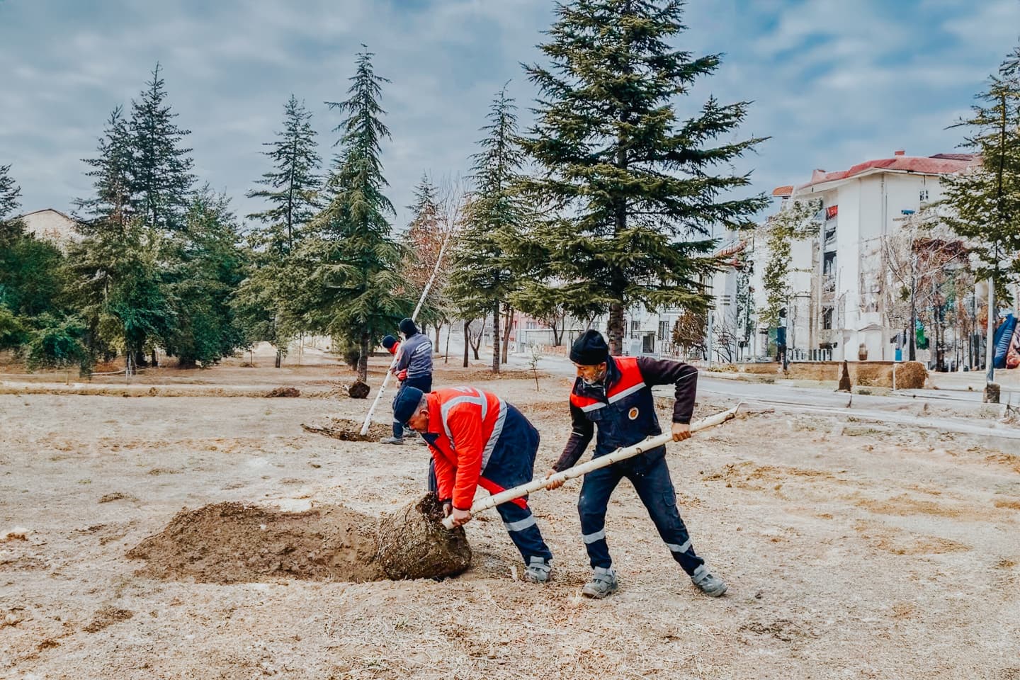 Belediye Ekipleri Doğaya  2 Bin 368 Ağaç Daha kazandırdı