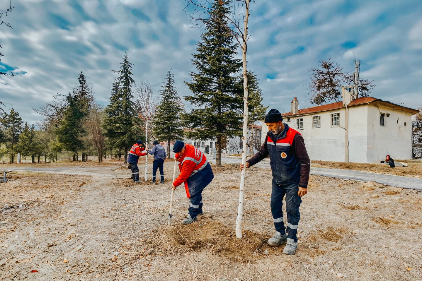 Belediye Ekipleri Doğaya  2 Bin 368 Ağaç Daha kazandırdı