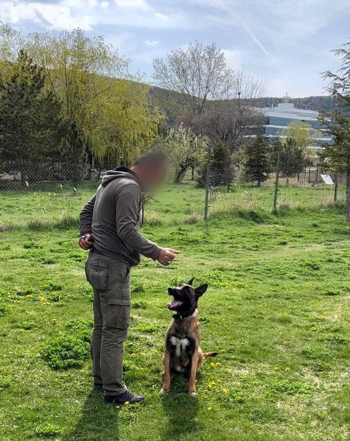 Emniyetin Can Dostları Narkotik Köpekleri Görevde