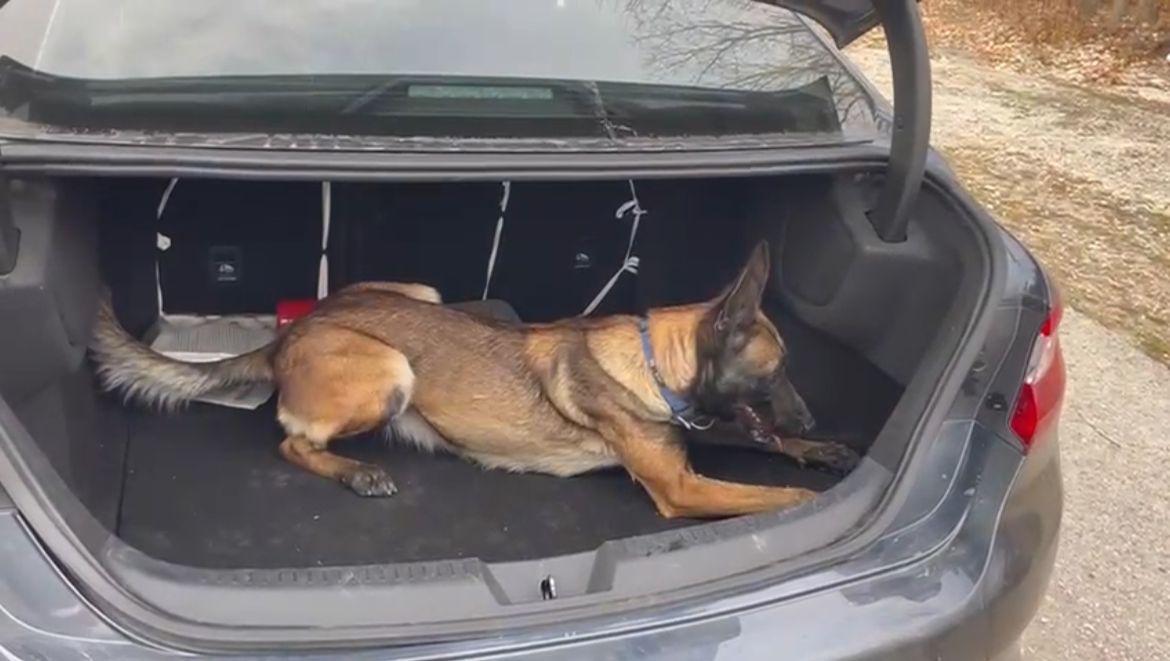 Emniyetin Can Dostları Narkotik Köpekleri Görevde