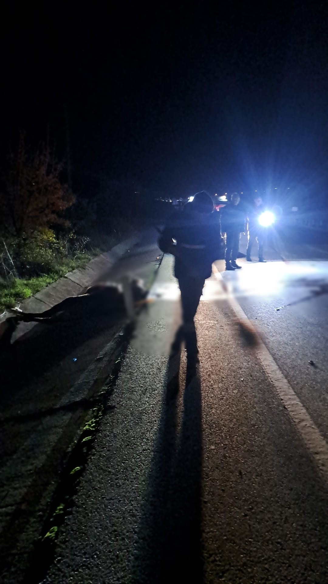 Ata Çarpan Motosiklet Sürücüsü Hayatını Kaybetti