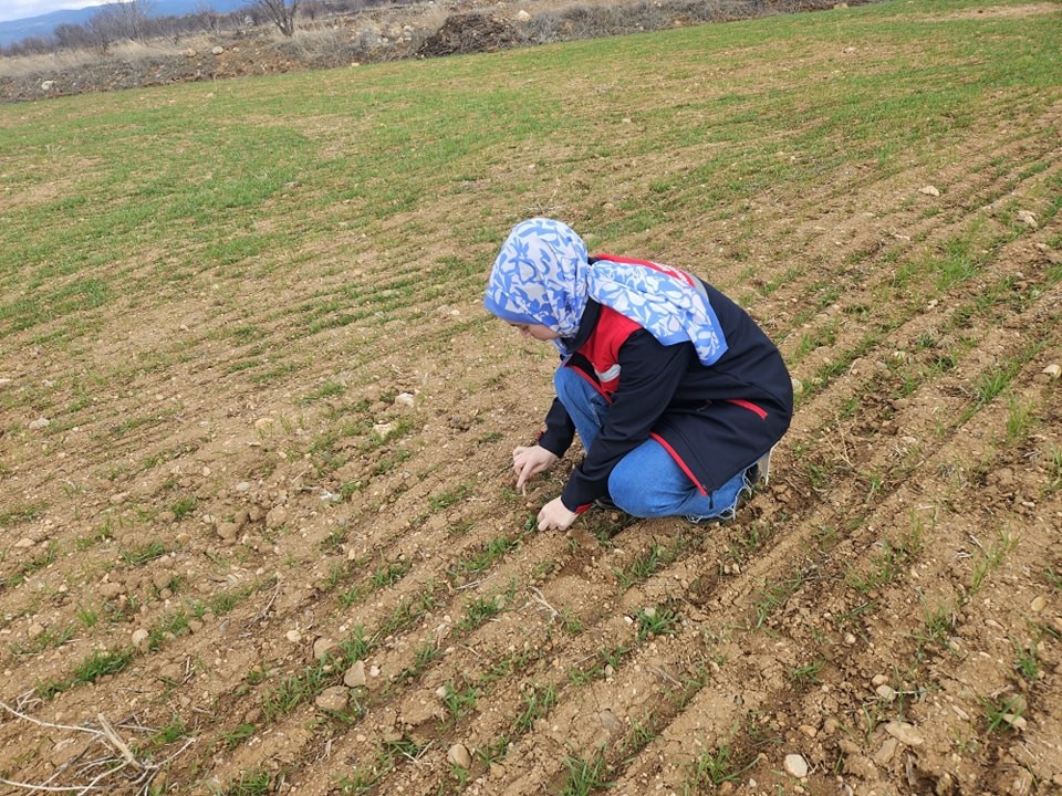 Afyonkarahisar’da Hububat ve Haşhaş Alanlarında Arazi Kontrolleri Sürüyor