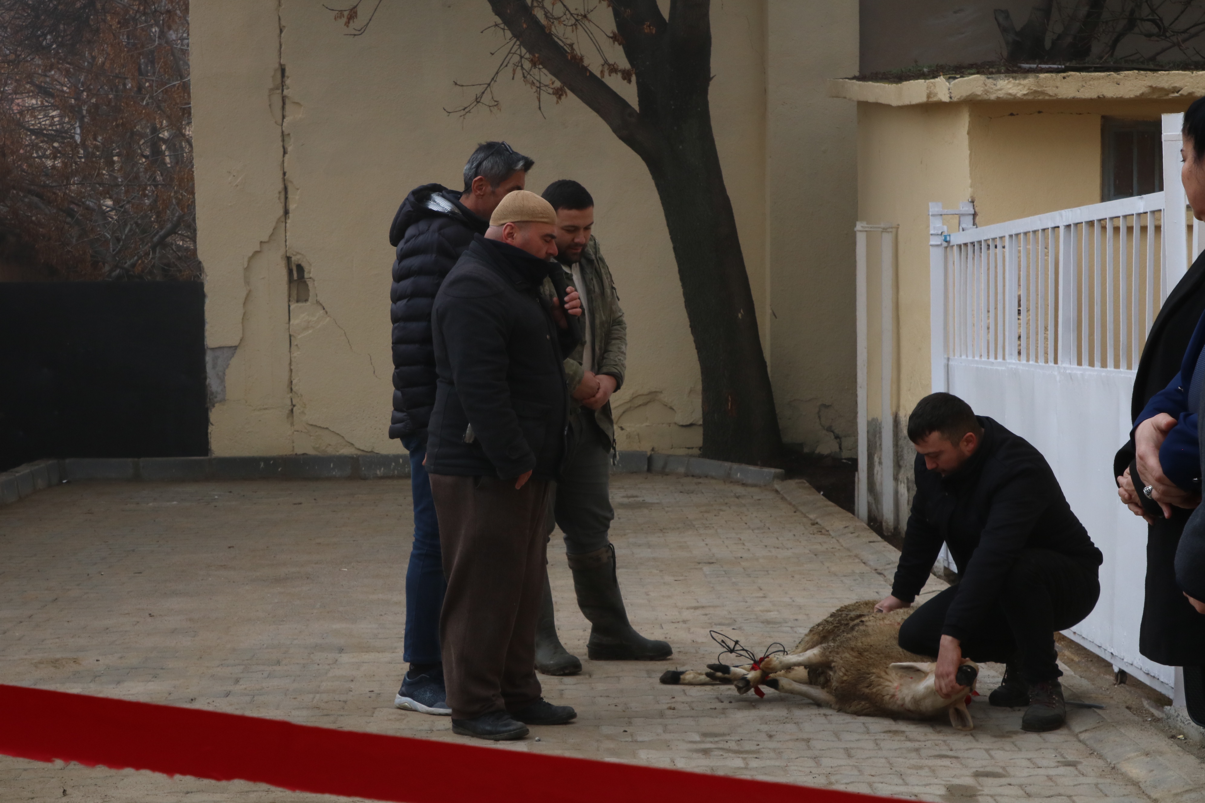 Bolvadin'de Halk Ekmek Fırını Hizmete Girdi