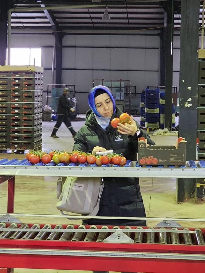 Afyonkarahisar’dan 23 Ülkeye 8 Bin 700 Ton Domates İhracatı