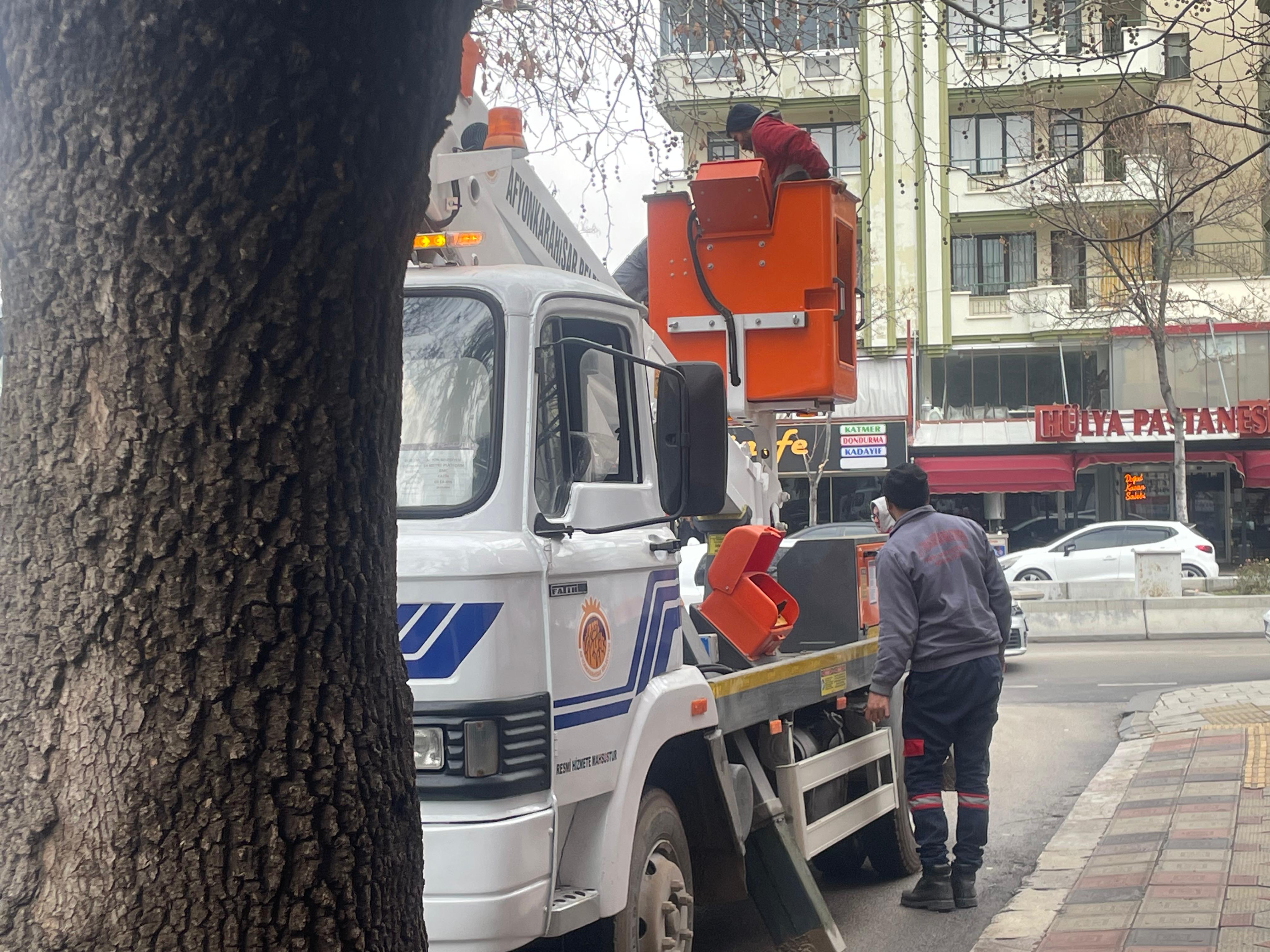 Afyonkarahisar’da Ağaç Budama Seferberliği Sürüyor: Ekipler Soğuk Havaya Aldırış Etmeden Çalışmalarına Devam Ediyor