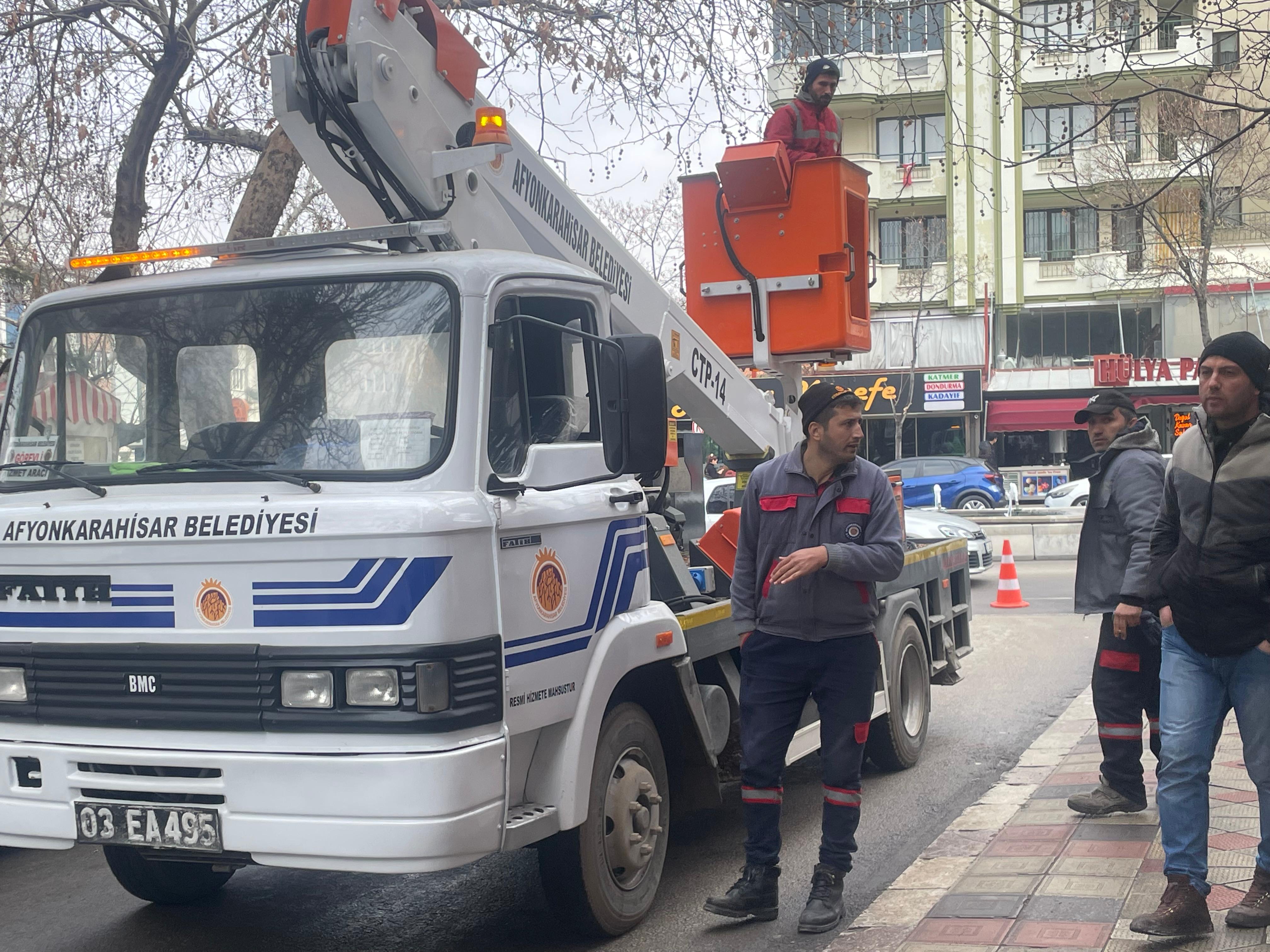 Afyonkarahisar’da Ağaç Budama Seferberliği Sürüyor: Ekipler Soğuk Havaya Aldırış Etmeden Çalışmalarına Devam Ediyor