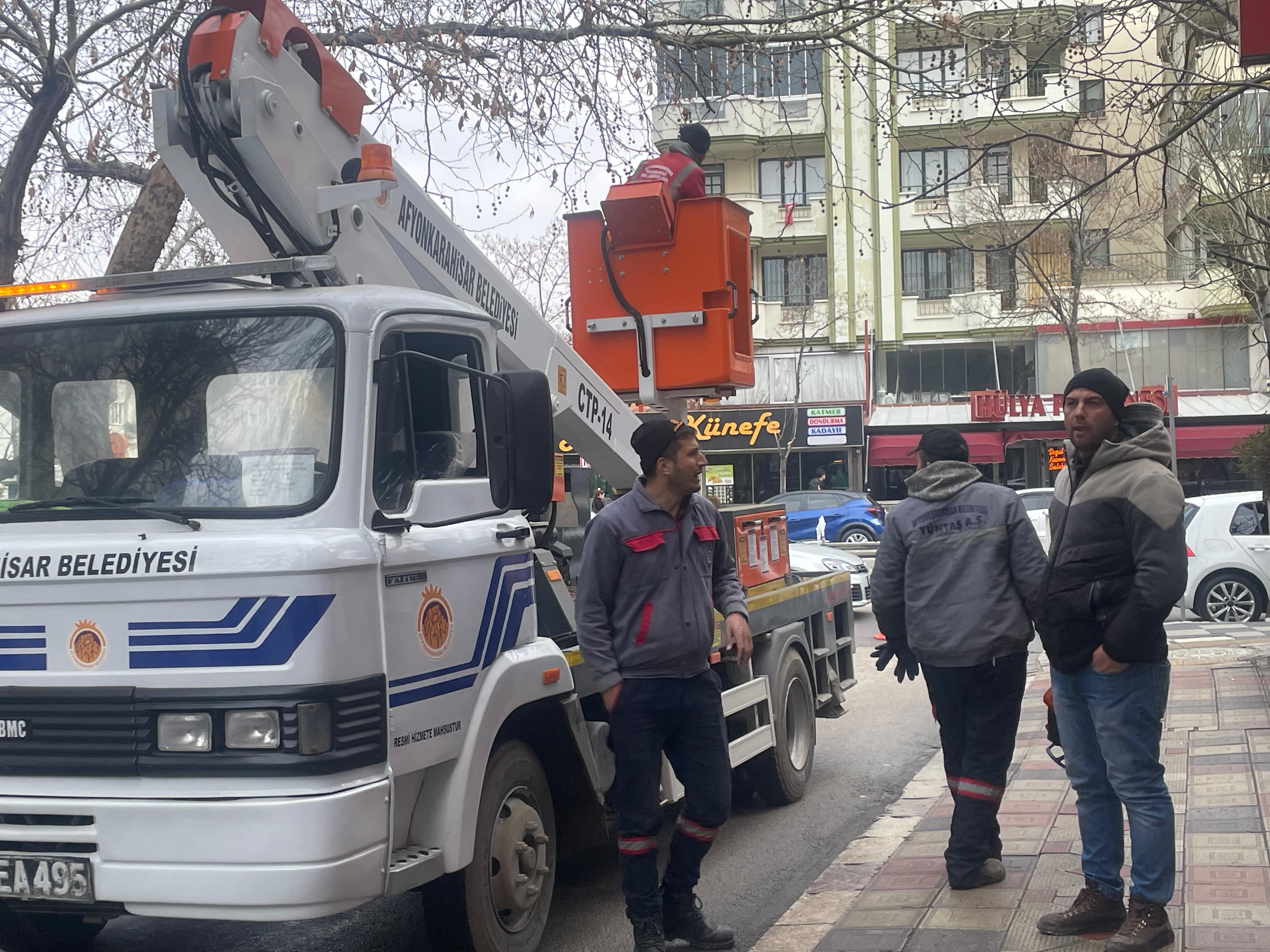 Afyonkarahisar’da Ağaç Budama Seferberliği Sürüyor: Ekipler Soğuk Havaya Aldırış Etmeden Çalışmalarına Devam Ediyor