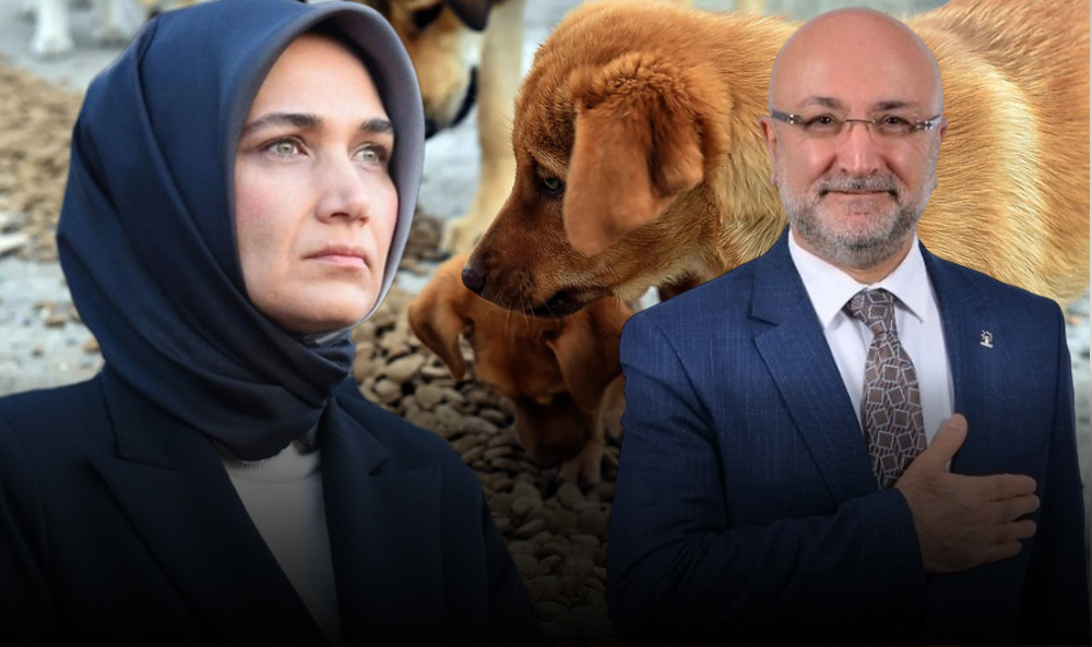 AK Partili Şahin’den Vali Yiğitbaşı’na Tam Destek
