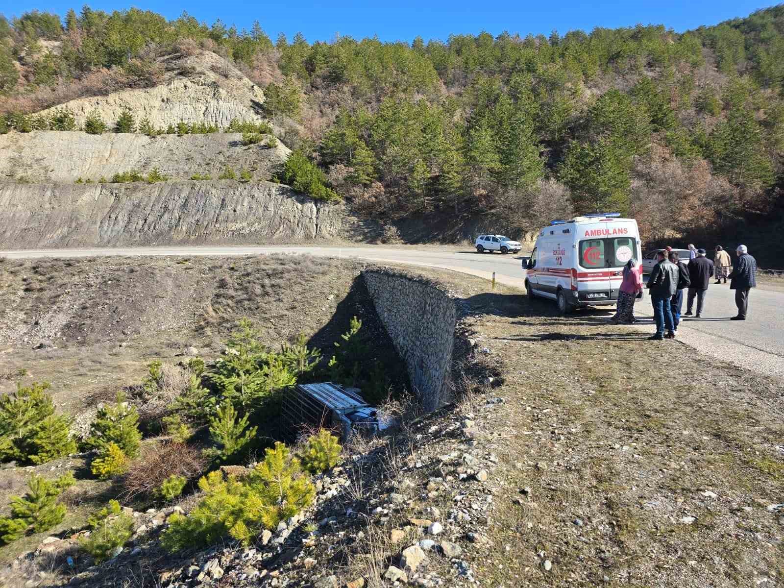 Kamyonet Dereye Uçtu: 1 Yaralı