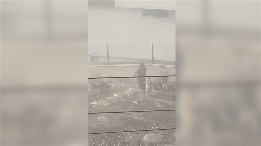 Sahipsiz Köpek Saldırısına  Karşı Mahalleli Tepkili