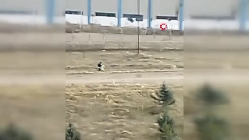 BİR ÇOCUK DAHA SOKAK KÖPEKLERİNİN SALDIRISINA UĞRADI