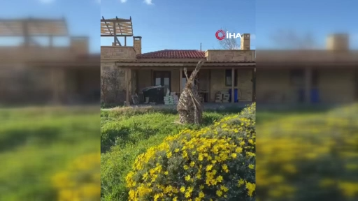 TURİZM BÖLGESİNDEKİ 36 İŞLETME MÜHÜRLENDİ