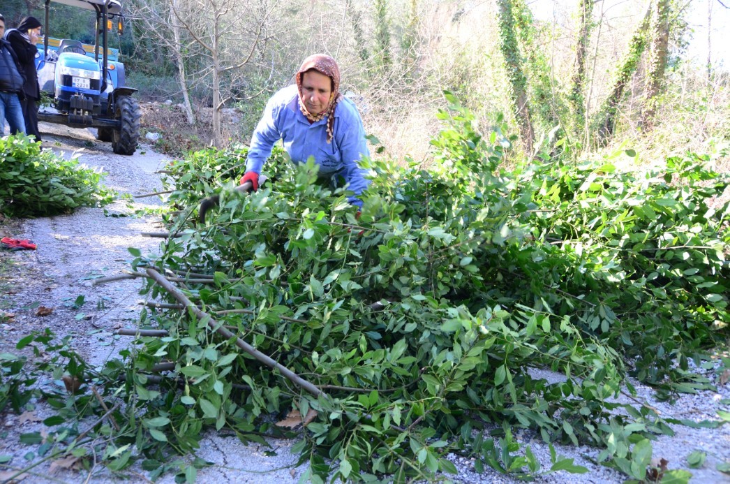300 TON HASAT YAPILDI