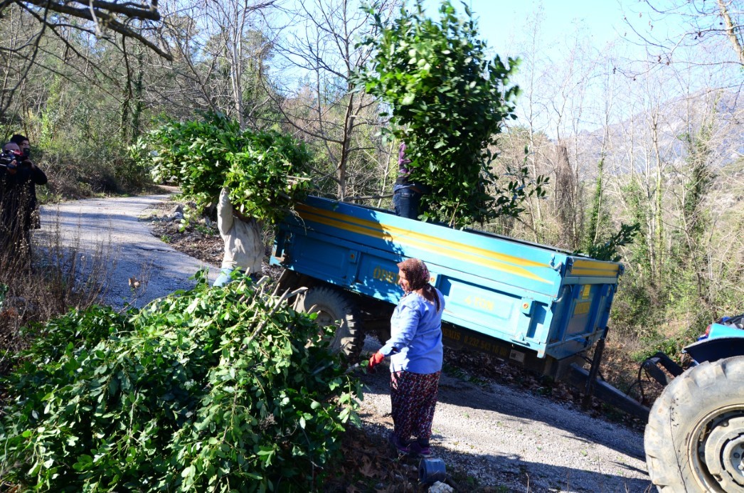 300 TON HASAT YAPILDI
