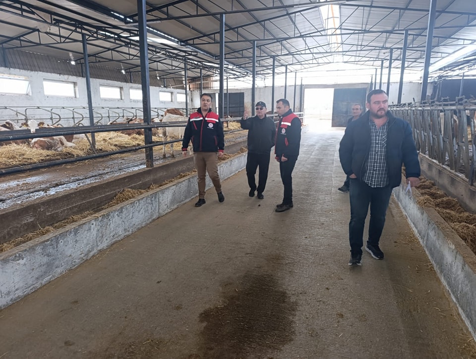 Afyonkarahisar'da Hastalıktan Ari İşletme Sayısı Artıyor