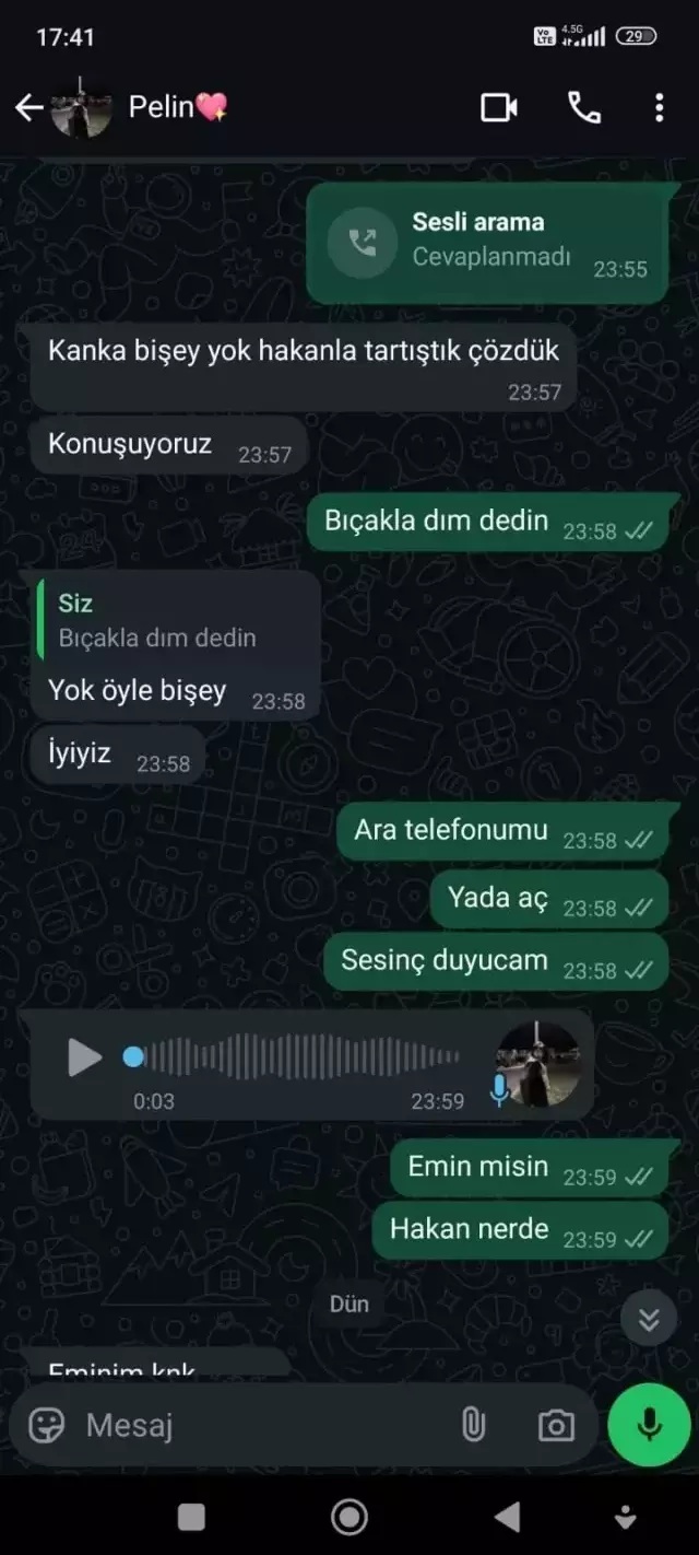 Genç Kız, Tartıştığı Sevgilisini Bıçaklayarak Öldürdü