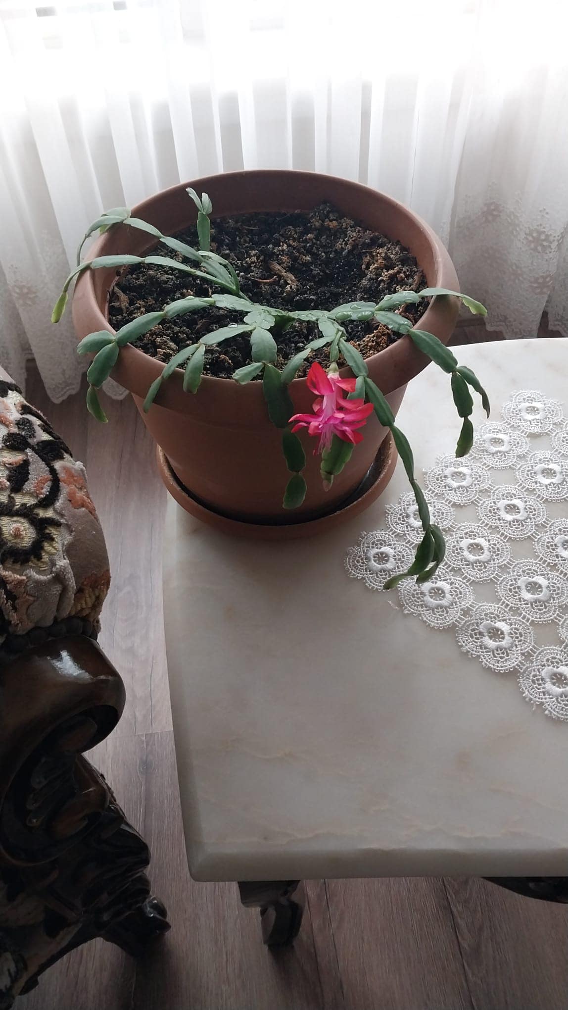 Vali Yiğitbaşı’ndan Duygulandıran Paylaşım