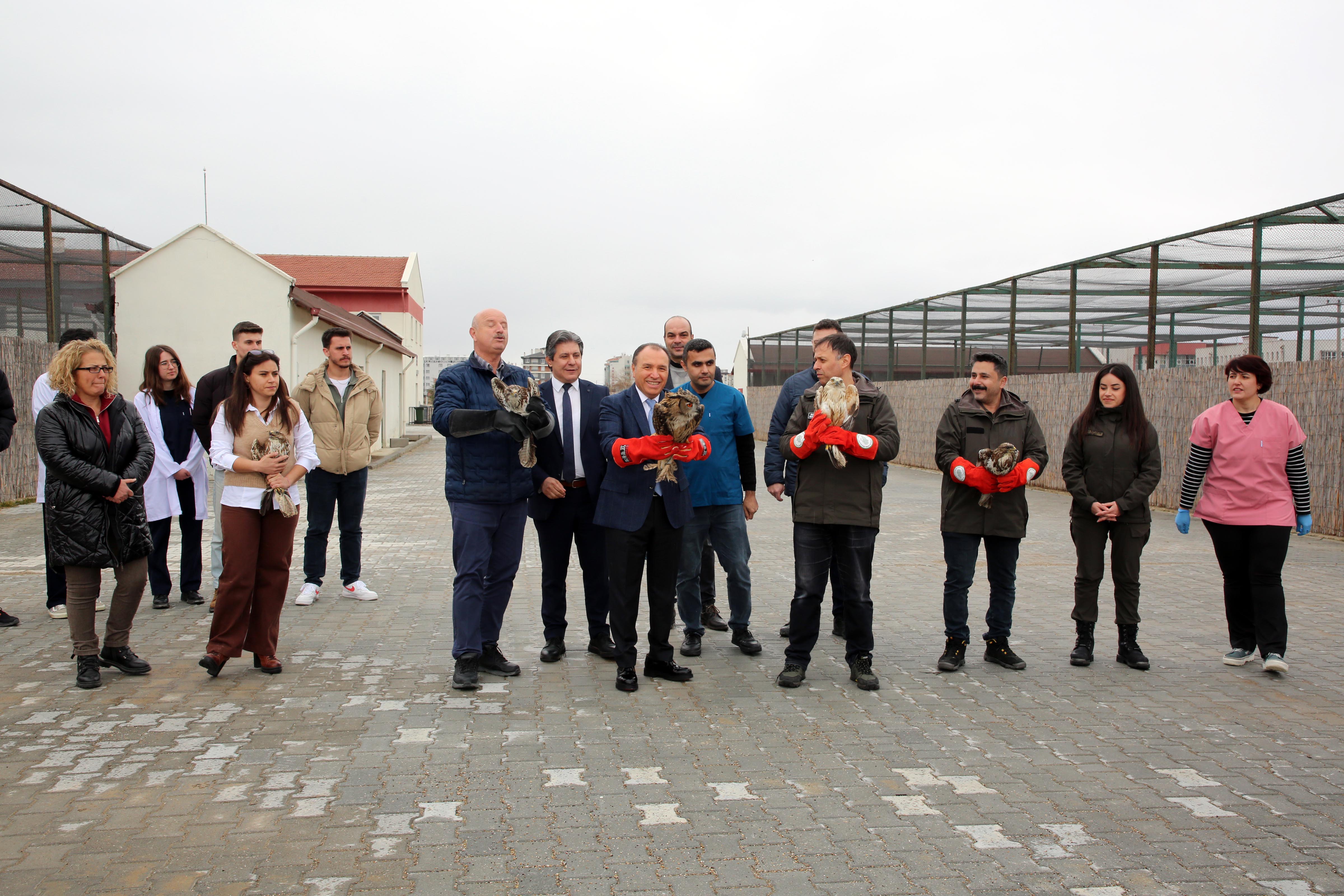 AKÜREM’de Sağlıklarına Kavuşan Kuşlar, Doğaya Bırakıldı