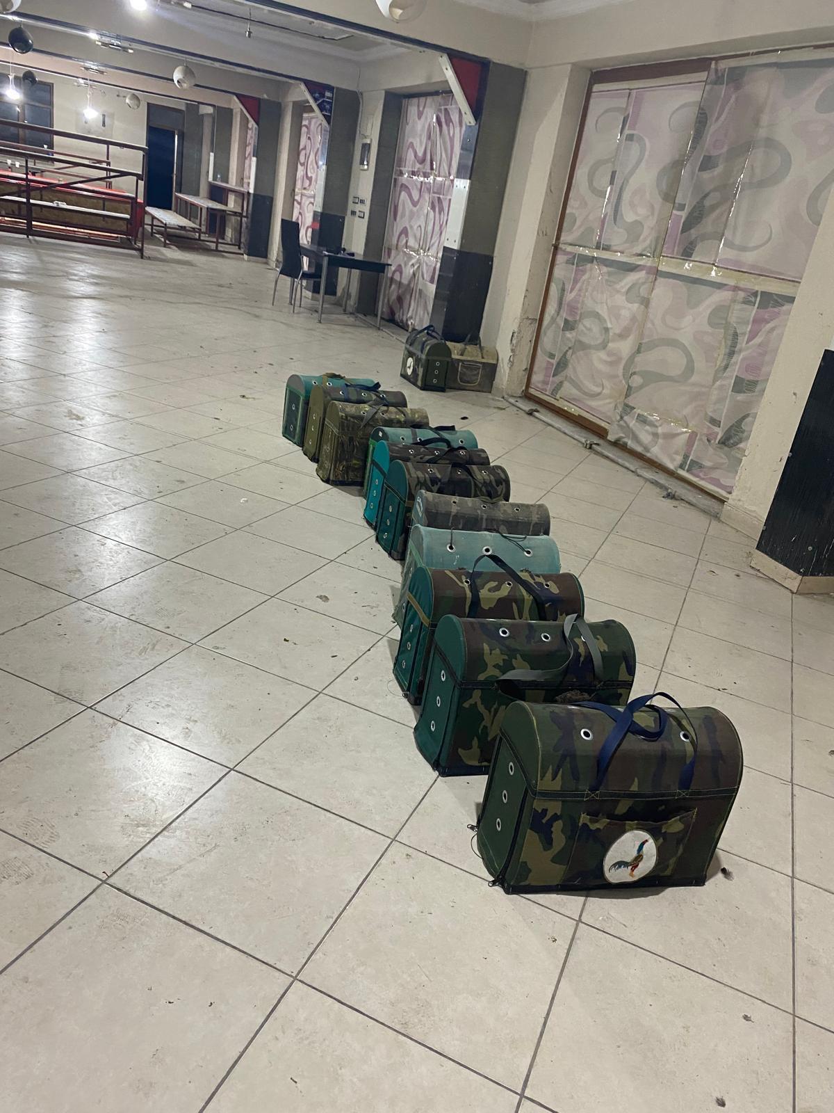Afyonkarahisar’da Horoz Dövüşüne Polis Baskını!  Operasyonda 13 Horoz Ele Geçirildi, 37 Kişi Yakalandı