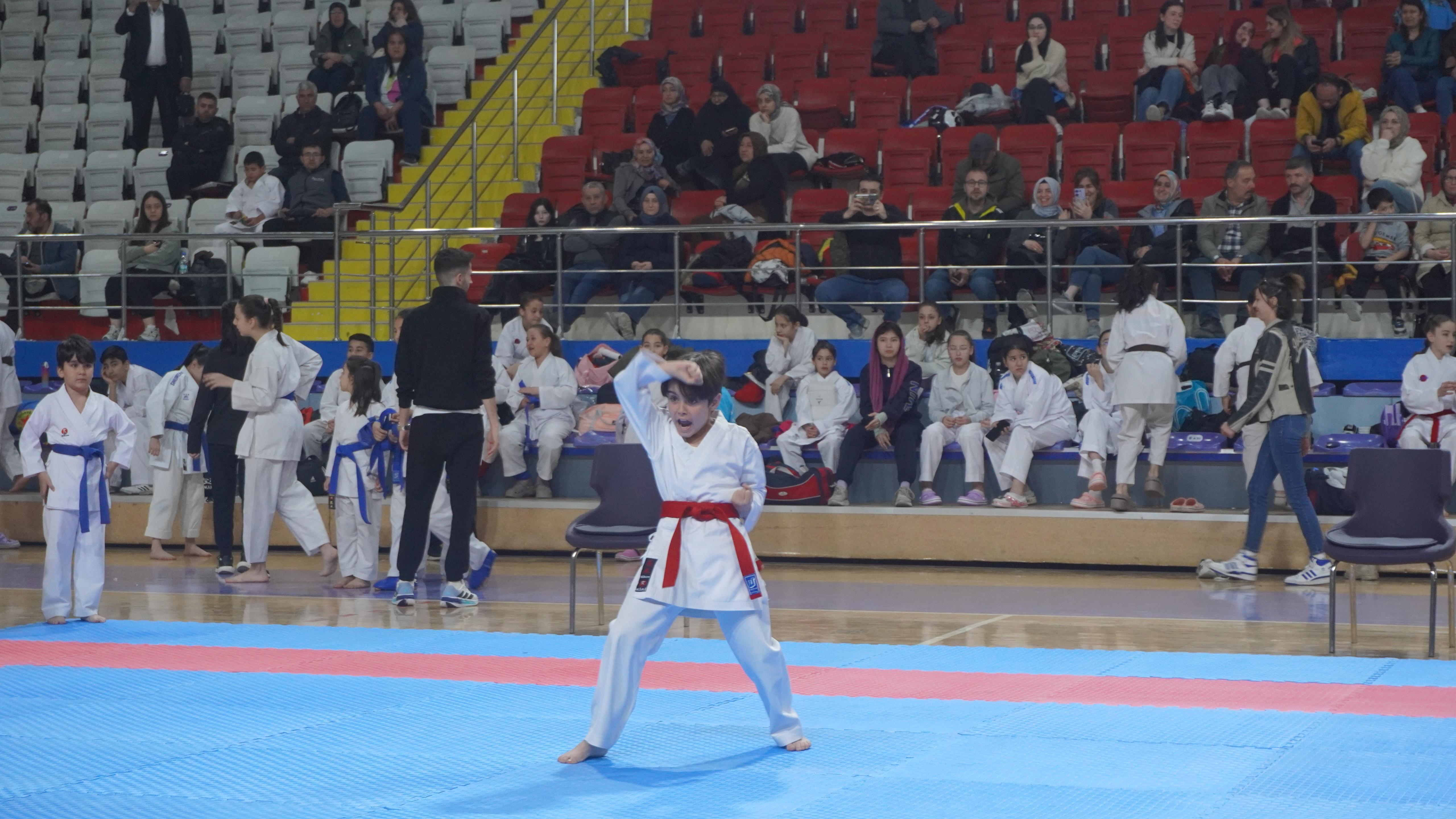 Çanakkale Şehitleri Anısına Karate Müsabakaları Tamamlandı Genç Sporcular Şampiyonluk İçin Kıyasıya Mücadele Etti