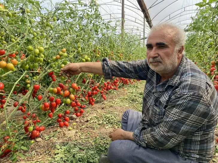 Üreticide 15 TL, markette 70 TL! Aradaki farkı kim yiyor?