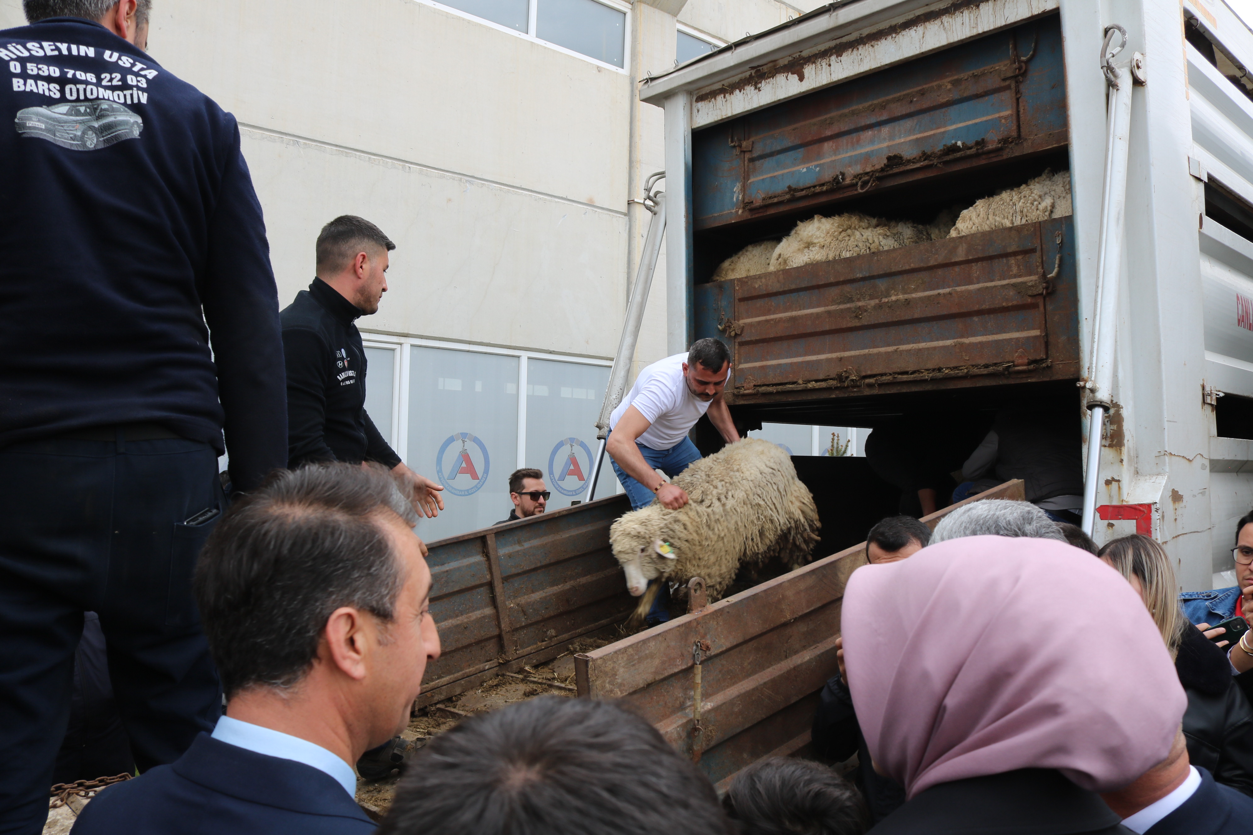 Afyonkarahisar'da 'Sürdürülebilir Koyun Projesi' Hayata Geçti!