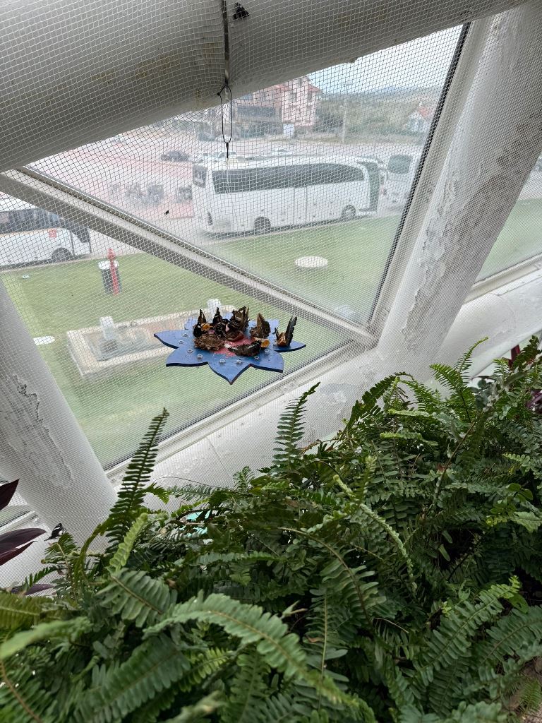RSP’Lİ ÖĞRENCİLERDEN HEM EĞİTİM, HEM KEŞİF DOLU BİR GEZİ