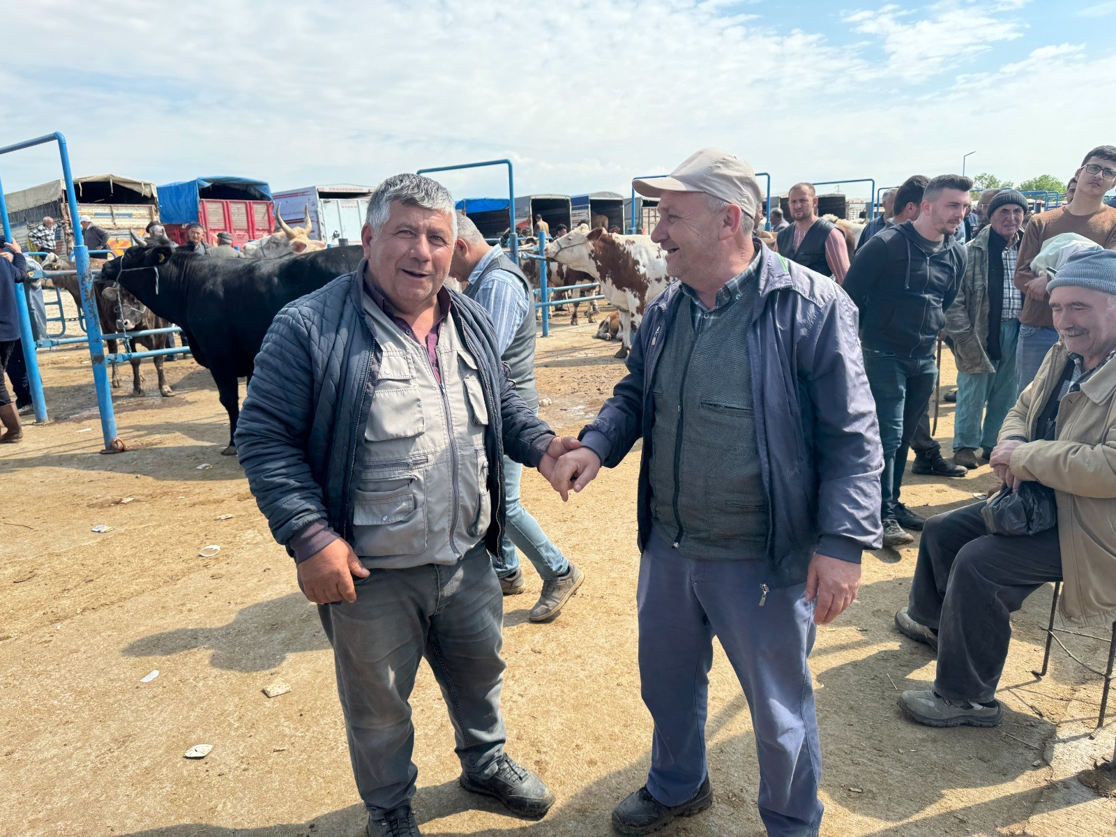 Kurban Pazarında Hareketlilik Başladı: Büyükbaş 200 Bin, Küçükbaş 20 Bin TL!