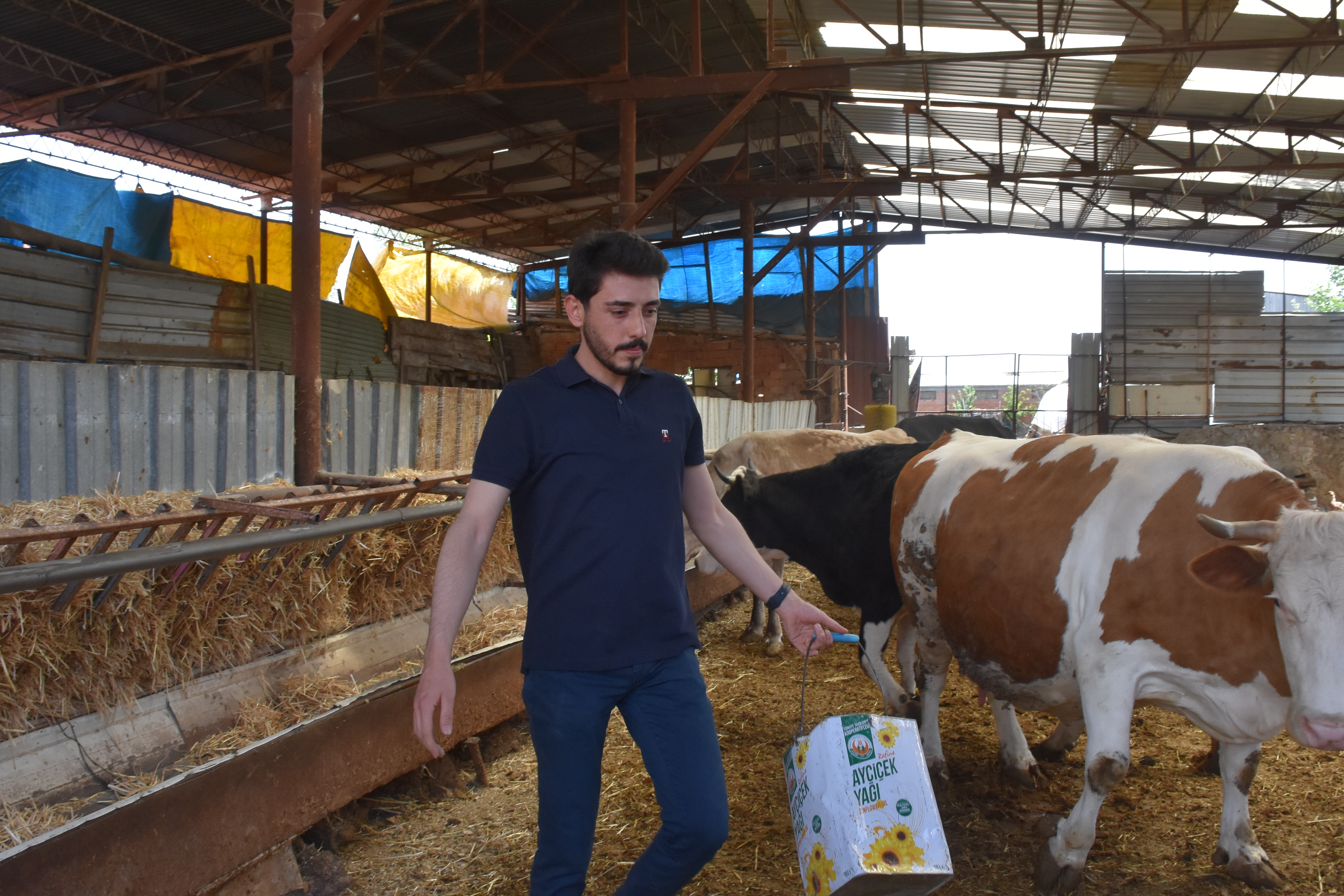 Yüksek Lisanslı Genç Çiftçi Kelem, Aile Geleneğini Modern Tarımla Sürdürüyor