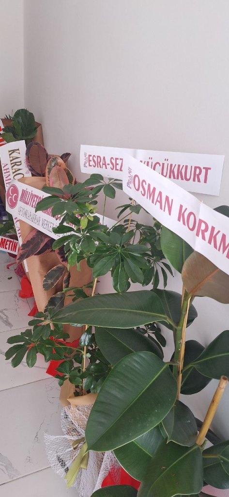 ÇINAR SİGORTA DUALARLA AÇILDI!