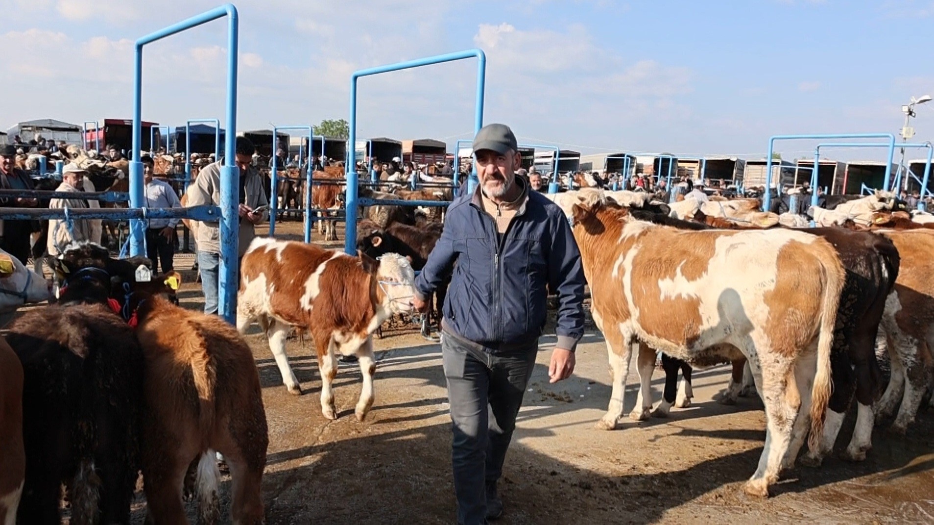 Afyonkarahisar’da kurbanlık telaşı başladı:  Fiyatlardaki son durum ne?