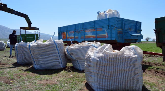 PATATES VERİMİNDE ARTIŞ BEKLENİYOR