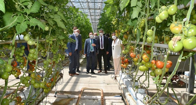 afyon turkeli gazetesi