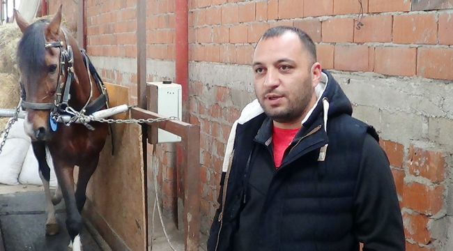 ATLAR KOŞU BANDINDA YARIŞA HAZIRLANIYOR