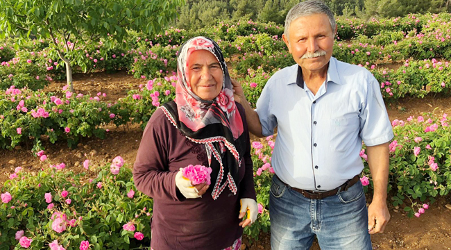 BU KÖY HALKININ TAMAMI GÜL YETİŞTİRİYOR
