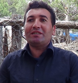 YÖRÜKLERİN ŞÖLEN HAVASINDA GEÇEN KOYUN KIRKIMI