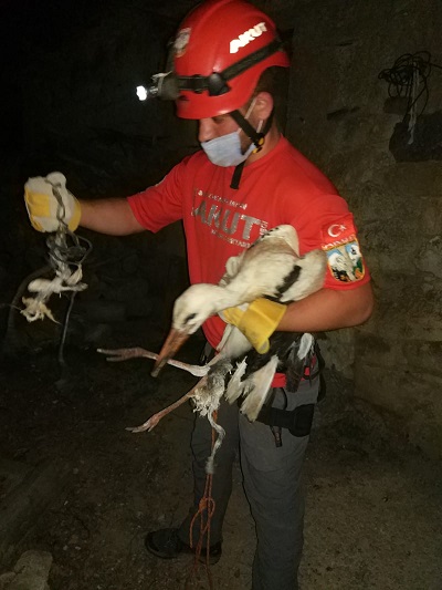 LEYLEK KURTARMA OPERASYONU 20 DAKİKA SÜRDÜ