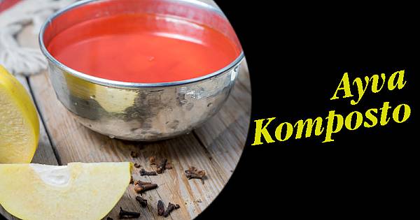 AYVA KOMPOSTO