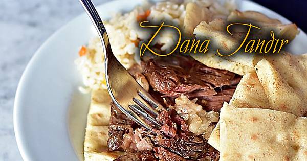 DANA TANDIR