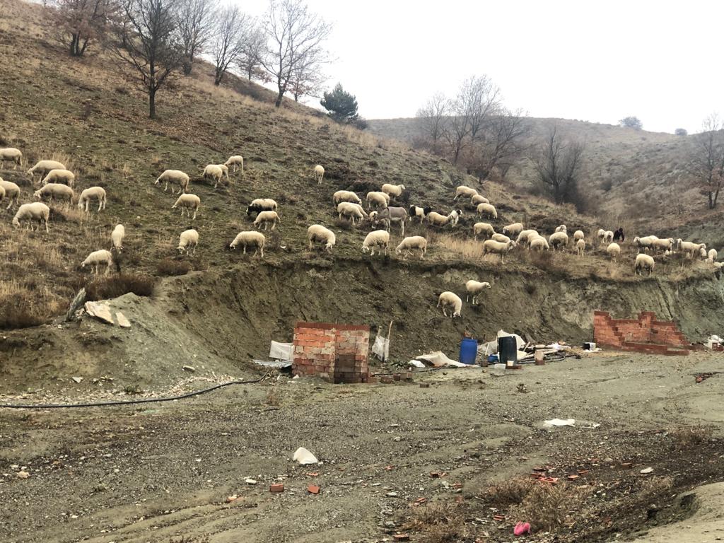 ESKİ HÜKÜMLÜ İŞKUR DESTEĞİYLE SÜRÜ SAHİBİ OLDU-3