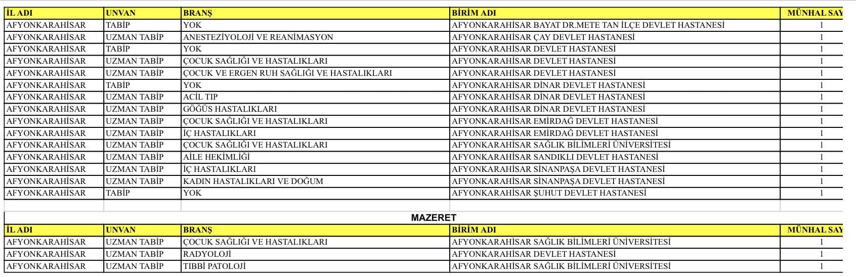 AFYON'A 18 DOKTOR ATANDI BAZI HASTAHANELER ARTIK HEYET RAPORU VERECEK-1