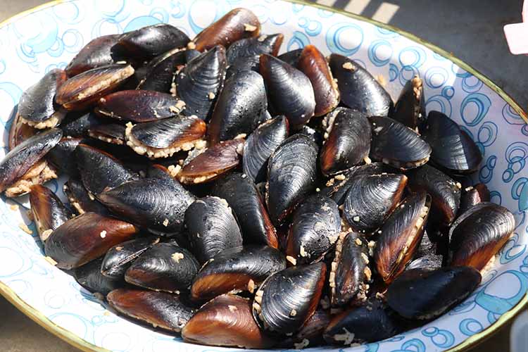 Hanefilerde Midye Neden Haramdır?