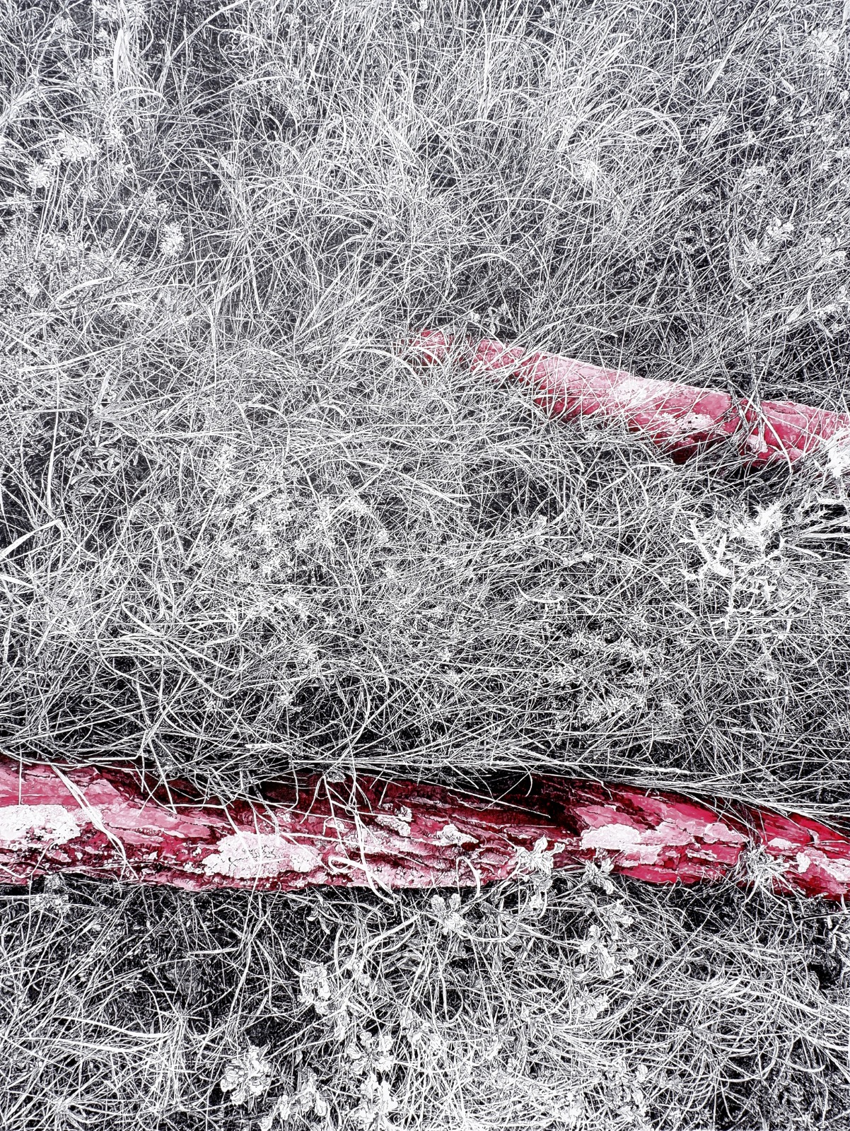 AKÜ Öğretim Elemanlarına Şefik Bursalı Yarışması'nda Ödül Ve Sergileme Başarısı