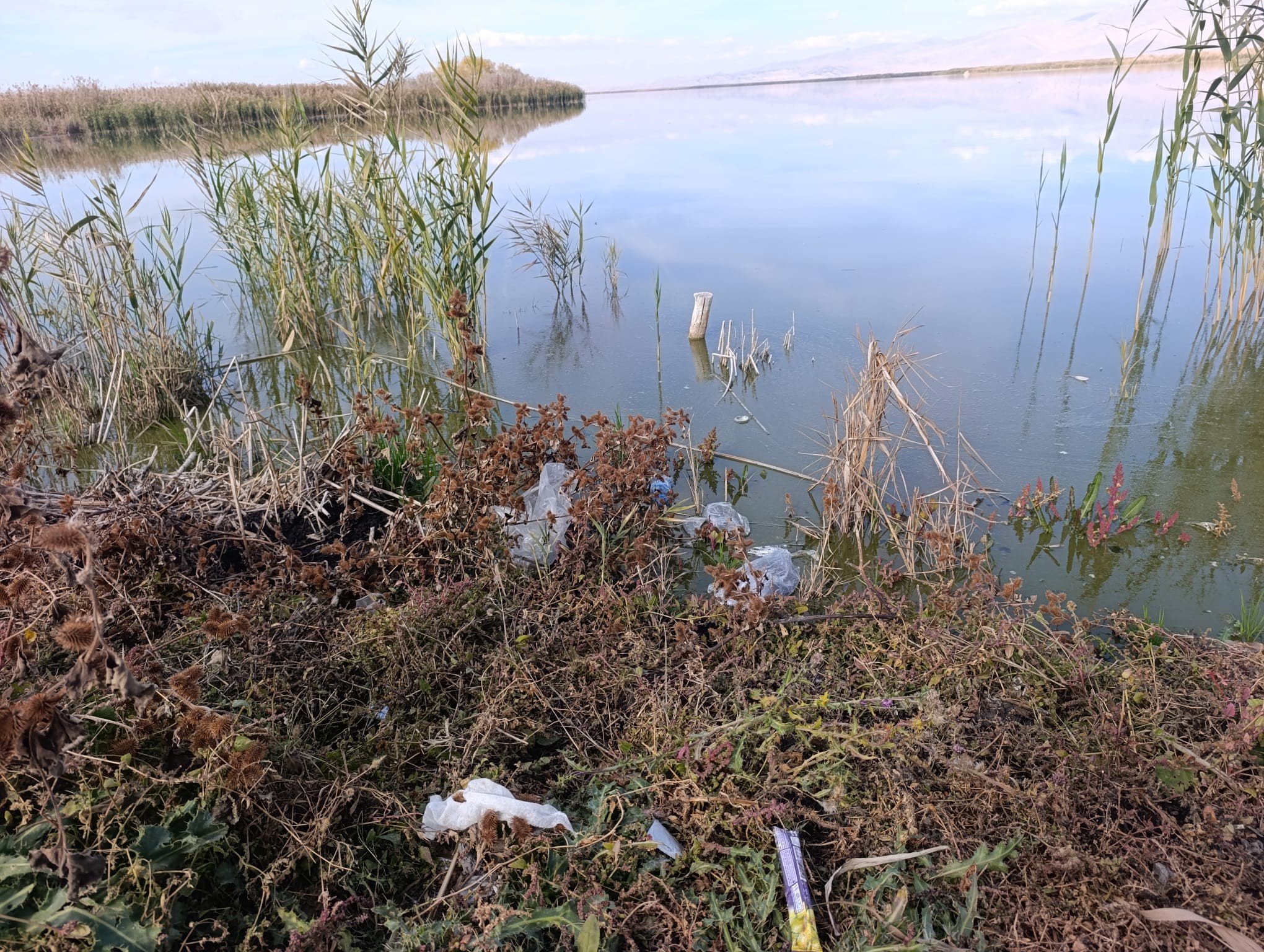Canlıların Yuvası, Çöplerin Mekânı Oldu: Eber Gölü Kurtarılmayı Bekliyor