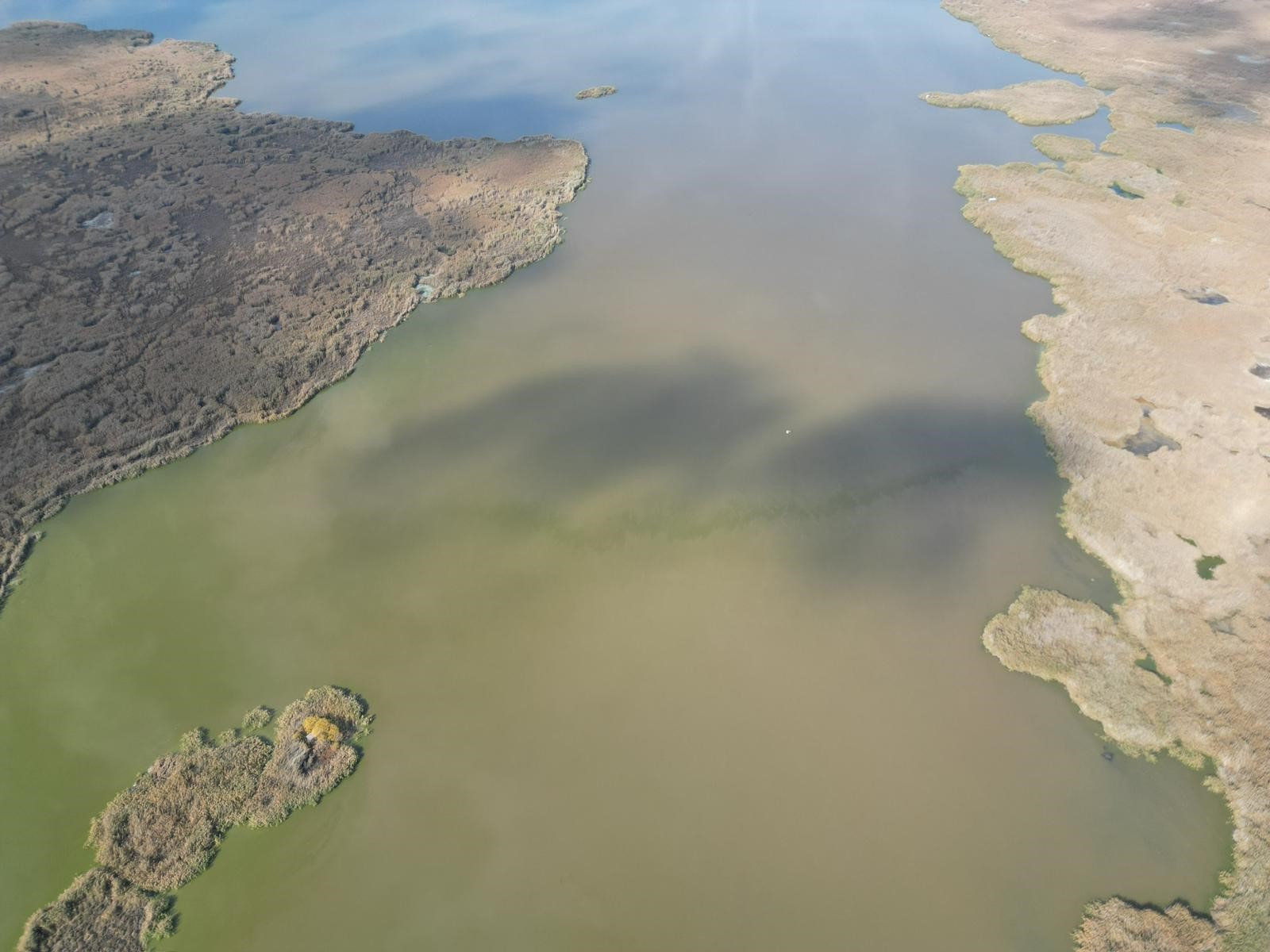 Canlıların Yuvası, Çöplerin Mekânı Oldu: Eber Gölü Kurtarılmayı Bekliyor