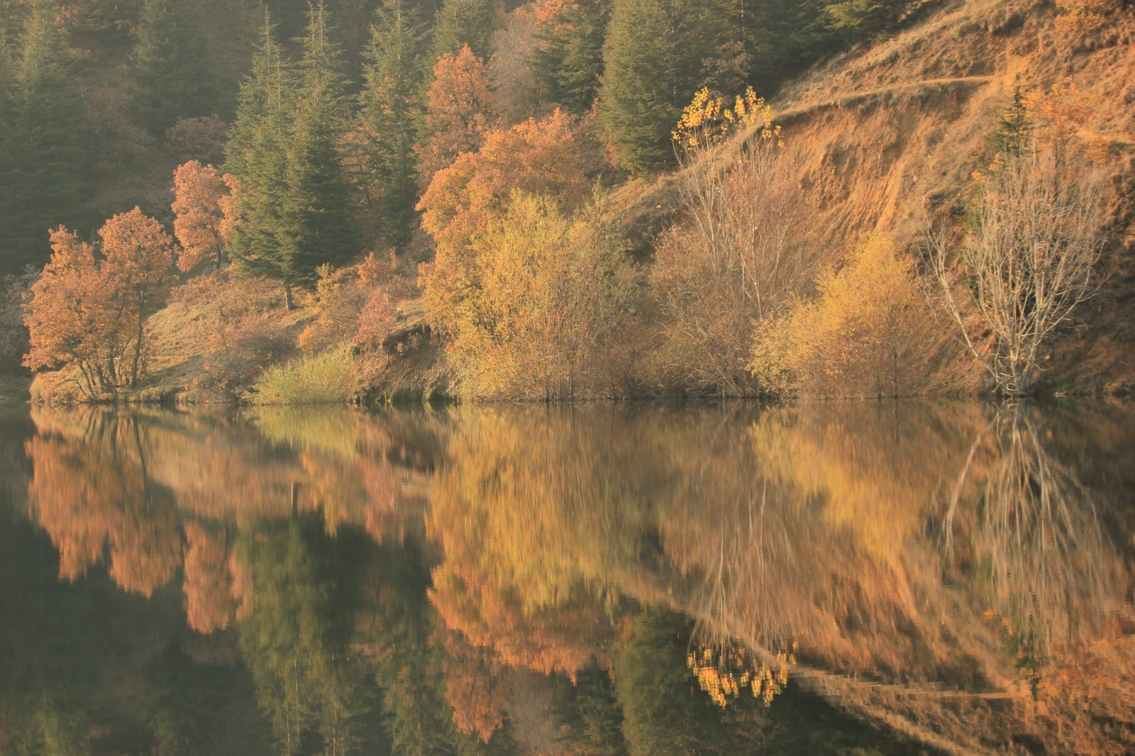 Bu Manzara Afyon’da Çekildi: Sis Bulutları Kartpostallık Görüntü Oluşturdu!