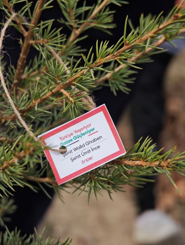 “Gazze İçin Fidanlar Toprakla Buluştu”