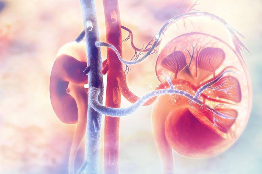 Kronik Böbrek Hastalığı 850 Milyon Kişiyi Etkiliyor – Erken Teşhis Hayati Önem Taşıyor