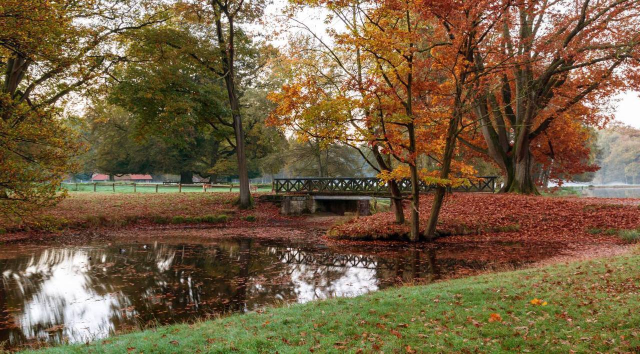 2025 Sonbaharı Kaydedilen En Sıcak Üçüncü Sonbahar Oldu!