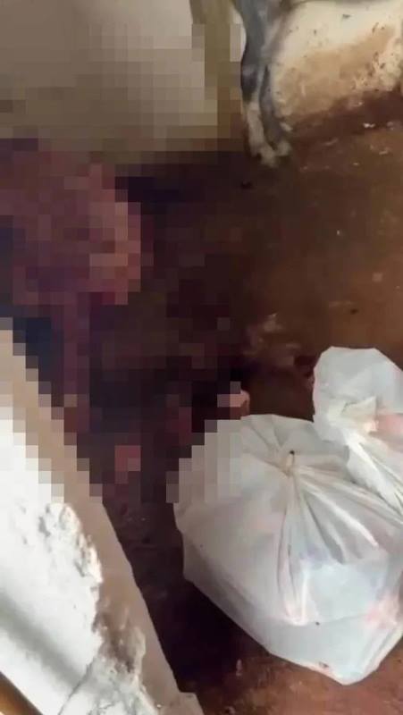 Kaçak Mezbahada At ve Eşek Eti Satışı Ortaya Çıktı